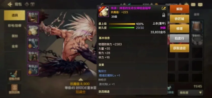 dnf手游高面板防具-高面板防具详解与搭配