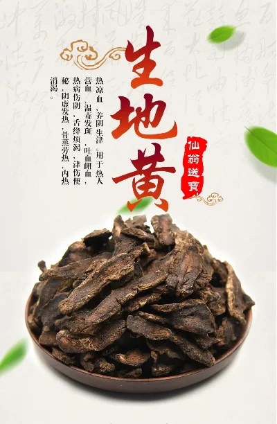 网游排行榜手游生地黄-仙侠手游生地黄